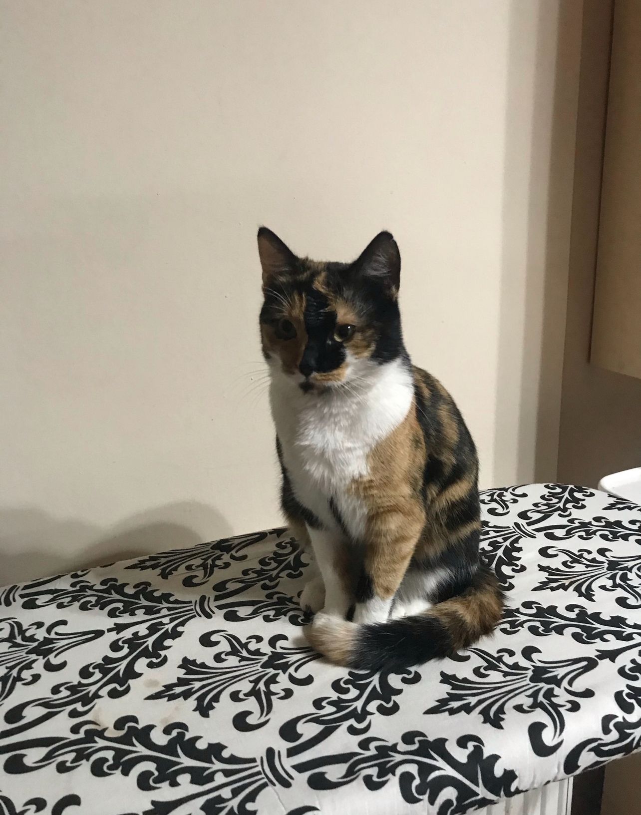 Imagine suplimentară